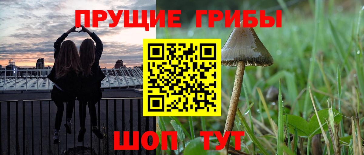 Псилоцибиновые грибы Psilocybine cubensis Кумертау