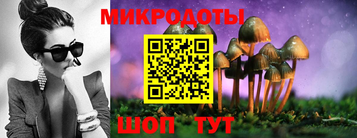 Псилоцибиновые грибы Psilocybe  Псилоцибиновые грибы GOLDEN TEACHER  Кумертау  Вход с VPN 